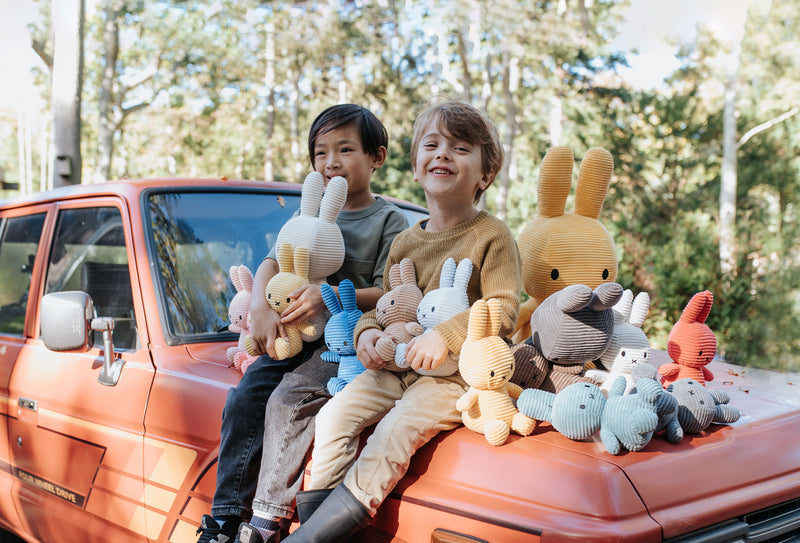 Miffy Collection
