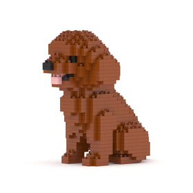 Toy Poodle Mini 01S / 01C