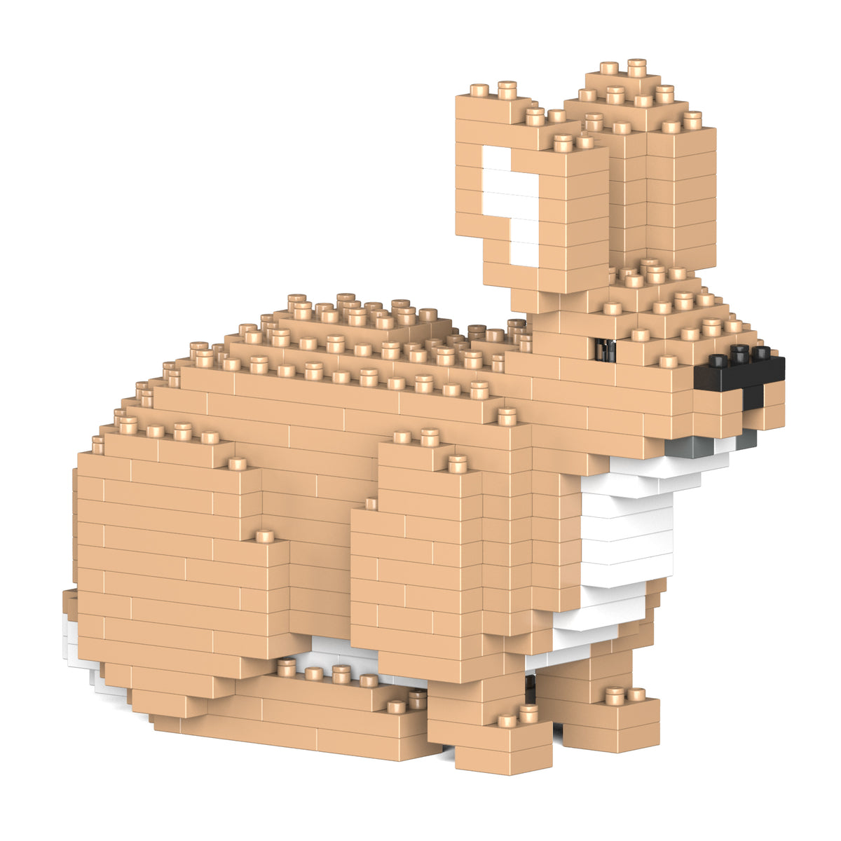 Rabbit 02S / 02C | Building Blocks – Hyggerium